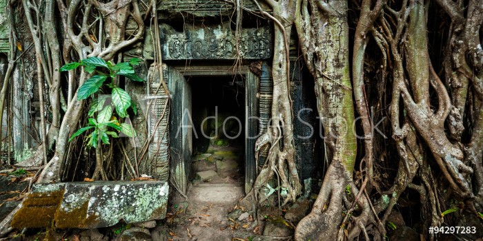 Bild på Ancient stone door and tree roots Ta Prohm temple